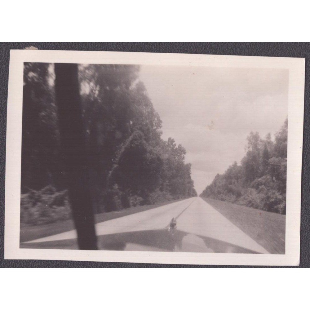 Vintage Snapshot Photo Road Trip Car Hood Ornament Trees 1950s Americana